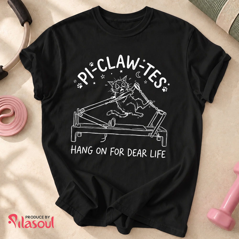 Pi-Claw-Tes