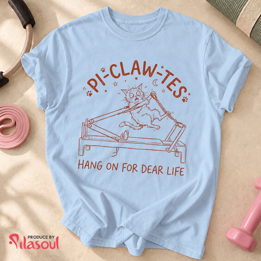 Pi-Claw-Tes