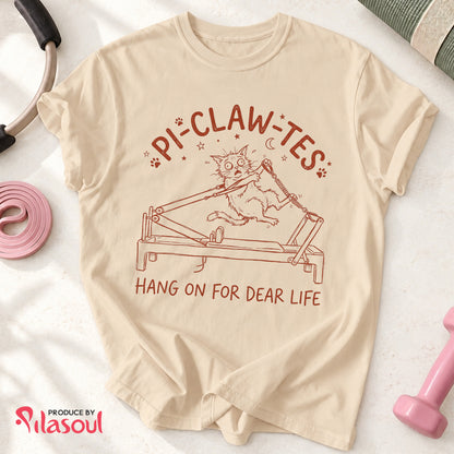 Pi-Claw-Tes