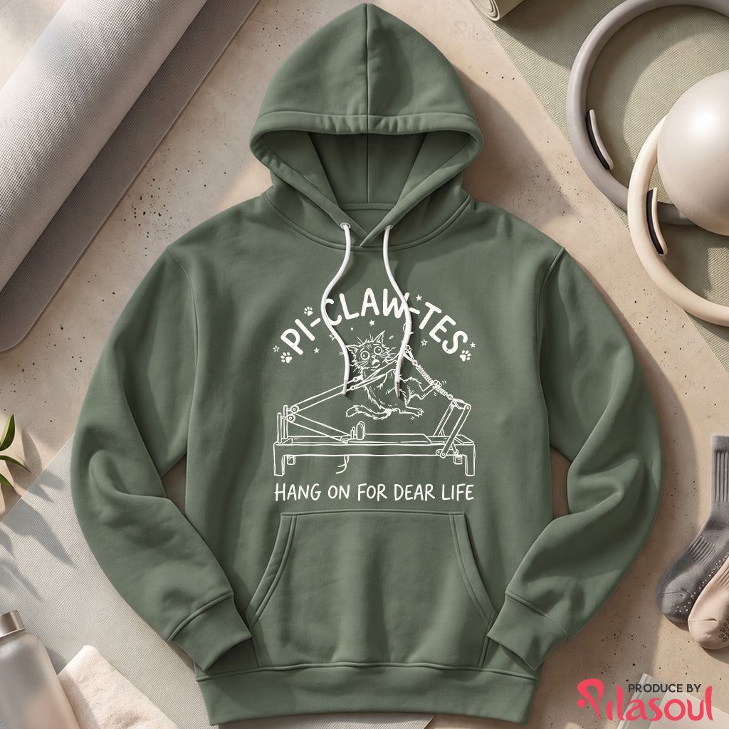 Pi-Claw-Tes Hoodies