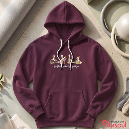 Just a Pilates Goose Hoodies