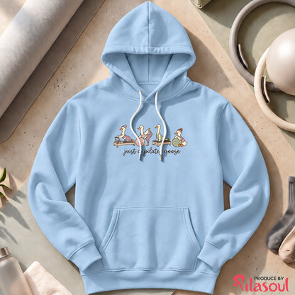 Just a Pilates Goose Hoodies
